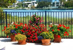 A potted garden with colorful flowers