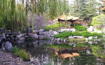 backyard-landscaping-ideas-small-pond-rocks-plants