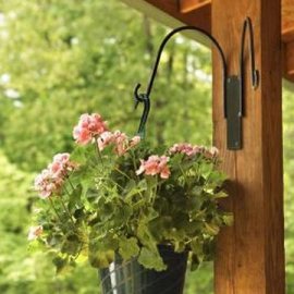 Hanging baskets on your porch can add flowers to your landscape without taking up space in the yard.