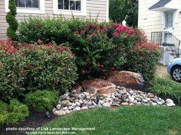 landscaping with rocks and colorful shrubs