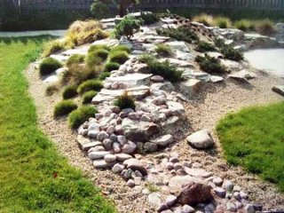 rocks garden with green plants
