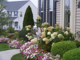 Front yard Landscape Design plans free