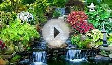 TROPICAL LANDSCAPE IDEAS - WATER CAN BRING "HEAVEN" TO